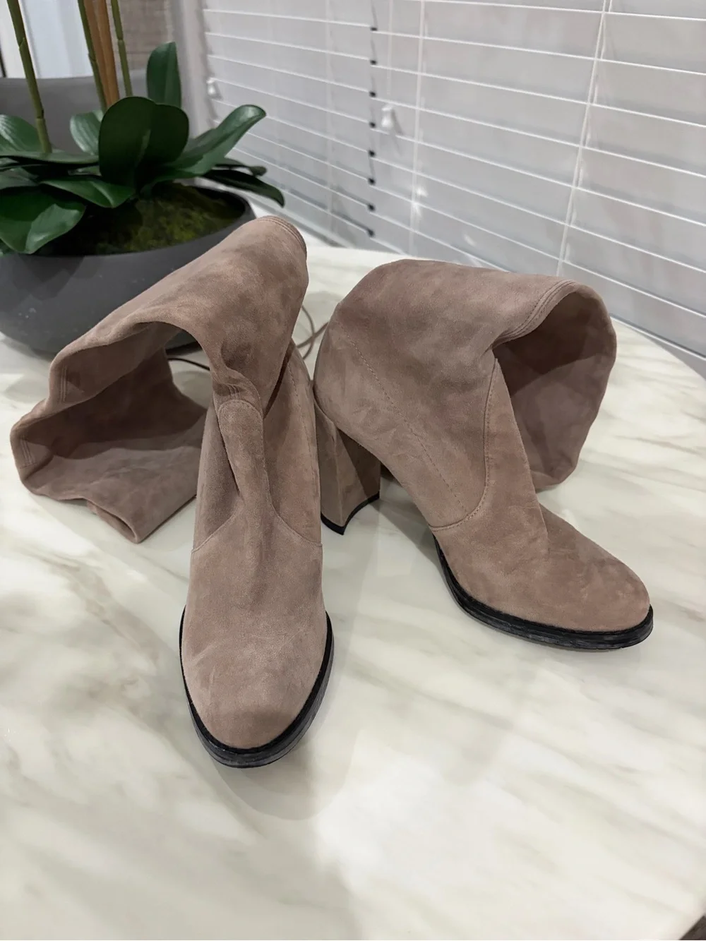 Stuart Weitzman Over-the-Knee Suede Boots in Taupe